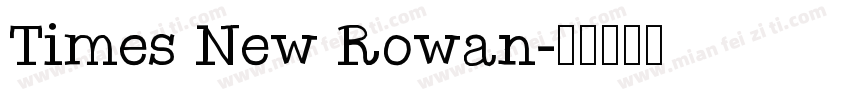 Times New Rowan字体转换